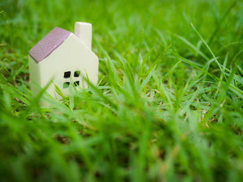 Model house on field