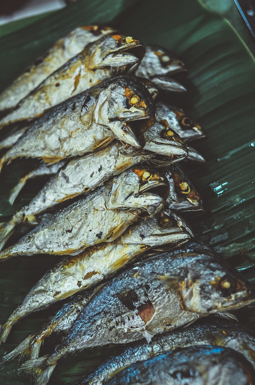 HIGH ANGLE VIEW OF FISH ON PLATE