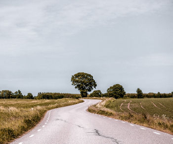 Road amidst agricultural field against sky