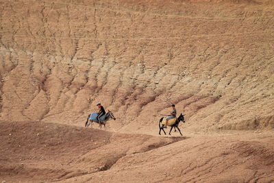 Men riding motorcycle on desert