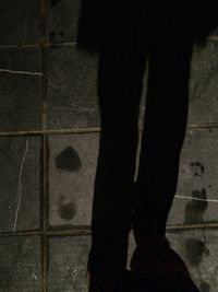 Low section of people standing on tiled floor