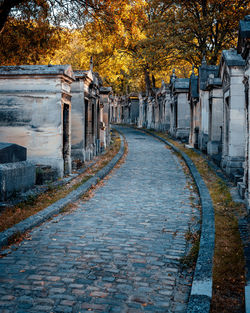 Footpath amidst plants in city during autumn