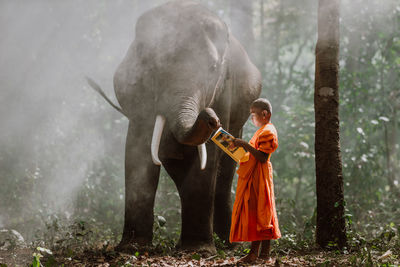 Full length of man holding elephant in forest