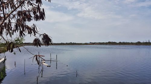 Scenic view of lake against sky