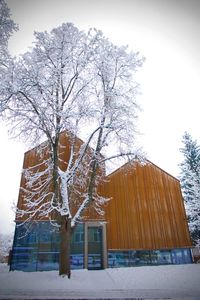 Snow covered tree by building against sky