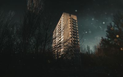 Low angle view of trees by lake against sky at night