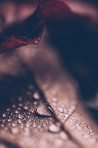 Macro shot of ice cream