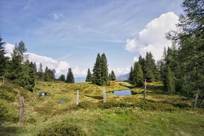 Lakes on 2300 meters alps austria trees on field against sky