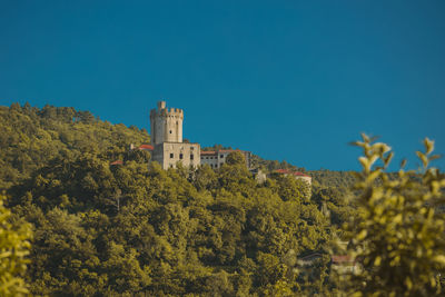 Trees and plants against building against clear blue sky