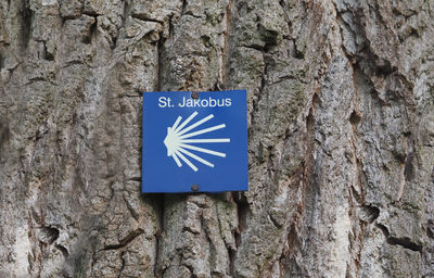 Close-up of sign on tree trunk