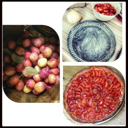 Close-up of cherries in bowl