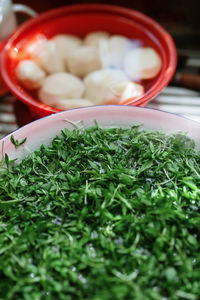 Close-up of chopped vegetables in bowl