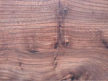 Surface wood  in details. wood texture top. hardwood texture with knots. wooden texture brown.