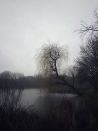 Bare trees by lake against sky