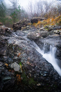 Stream flowing through rocks in forest