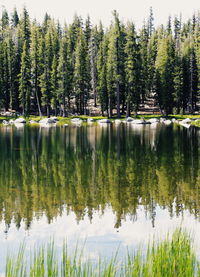 Scenic view of lake by trees