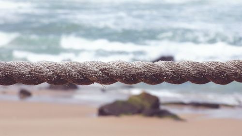 Close-up of rope at beach