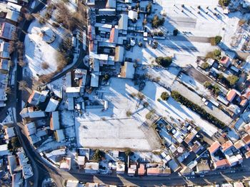 Winter bird view 