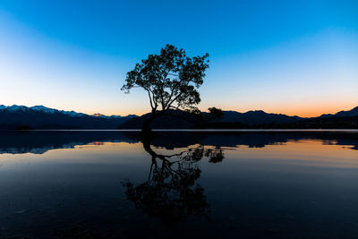 Silhouette tree by lake against sky during sunset