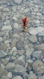 Full frame shot of stone wall