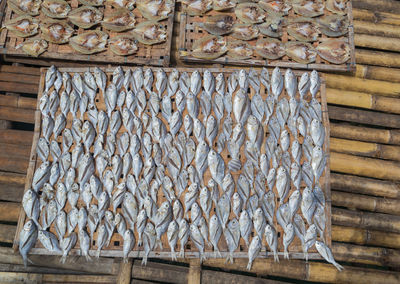 High angle view of fish on table