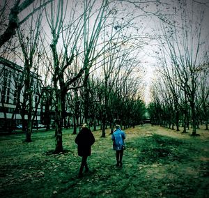 Rear view of people walking on bare trees