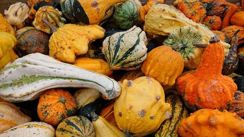 Full frame shot of pumpkins for sale at market stall