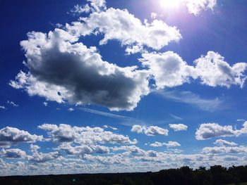 Low angle view of trees against sky