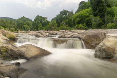 Scenic view of waterfall in forest