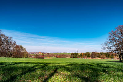 Scenic view of field against blue sky