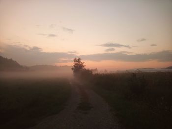Road amidst trees against sky during sunset