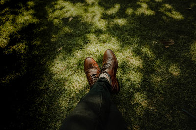 Low section of person wearing shoes on land