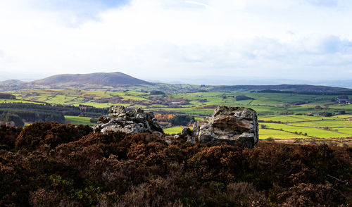 Corndon hill from stiperstones