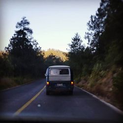 Road passing through trees