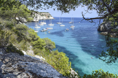 High angle view of sea by trees against sky