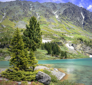 The landscape with trees on kuyguk lake