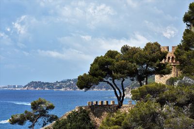 Trees by sea against sky in city