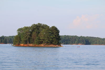 Reflection of trees in calm lake