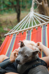 Dog lying down on hammock