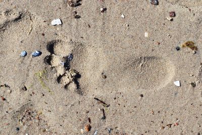 High angle view of footprints on wet sand