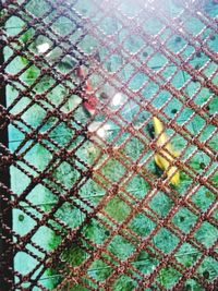 Full frame shot of chainlink fence