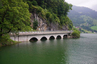 Arch bridge over river against trees