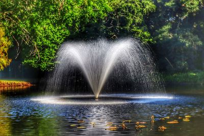 Scenic view of waterfall