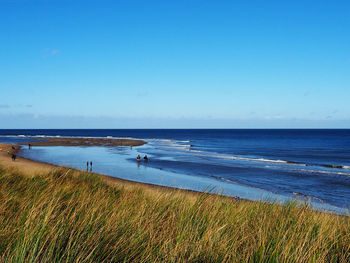 Scenic view of beach against clear sky