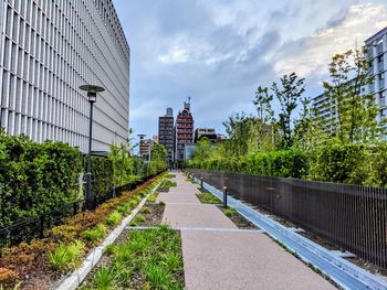 Road amidst trees and buildings against sky