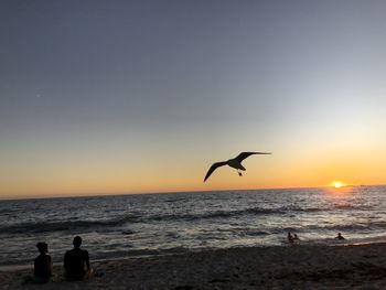 Silhouette of birds flying over sea
