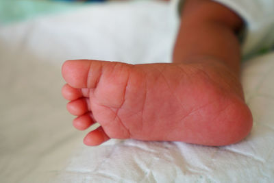 Low section of baby feet