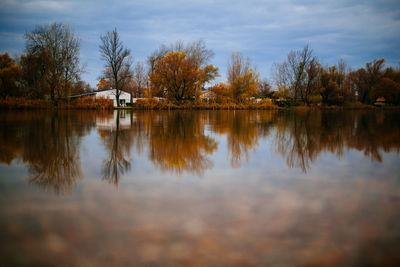Reflection of trees in lake against sky
