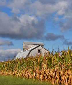 House on field against sky