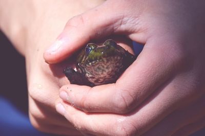 Close-up of hand holding ice cream